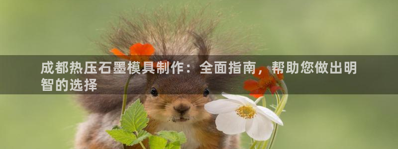 emc低频：成都热压石墨模具制作：全面指南，帮助您做出明