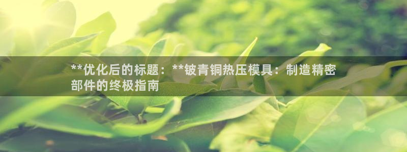 易倍单词登录网站：**优化后的标题：**铍青铜热压模具：
