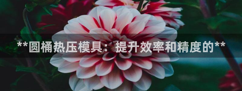 易倍网络技术有限公司招聘：**圆桶热压模具：提升效率和精