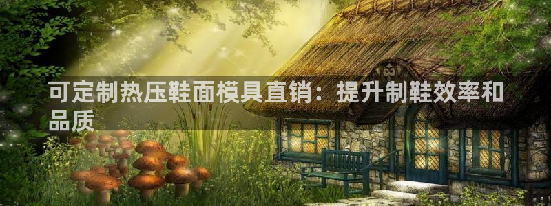 emc易赔：可定制热压鞋面模具直销：提升制鞋效率和
品质