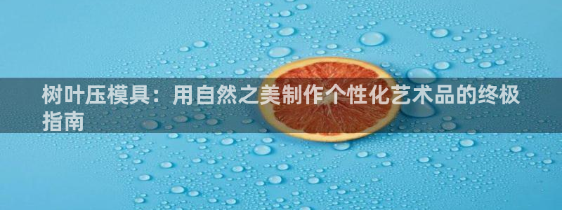 emc易倍全站：树叶压模具：用自然之美制作个性化艺术品的