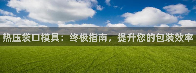 emc易倍穆里尼奥：热压袋口模具：终极指南，提升您的包装