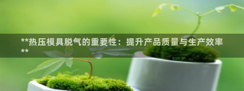 EMC易倍让身份验证：**热压模具脱气的重要性：提升产品