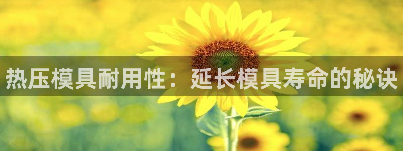 易倍申价格：热压模具耐用性：延长模具寿命的秘诀