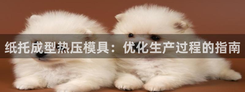 EMC易倍官网招聘：纸托成型热压模具：优化生产过程的指南
