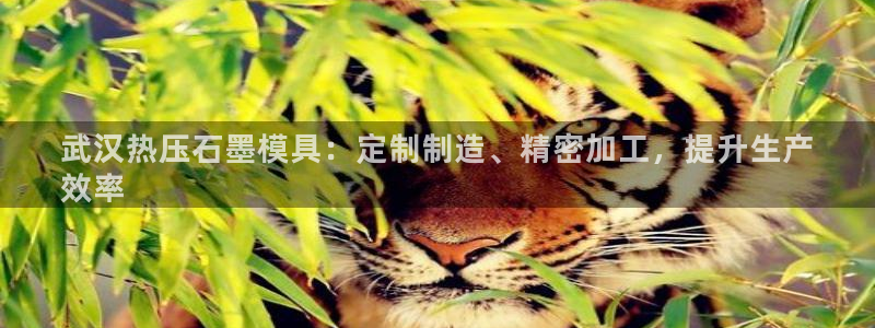 emc易倍黑吗：武汉热压石墨模具：定制制造、精密加工，提