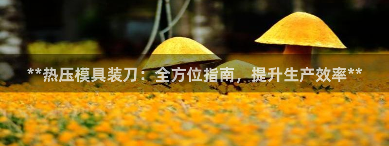emc低频：**热压模具装刀：全方位指南，提升生产效率*
