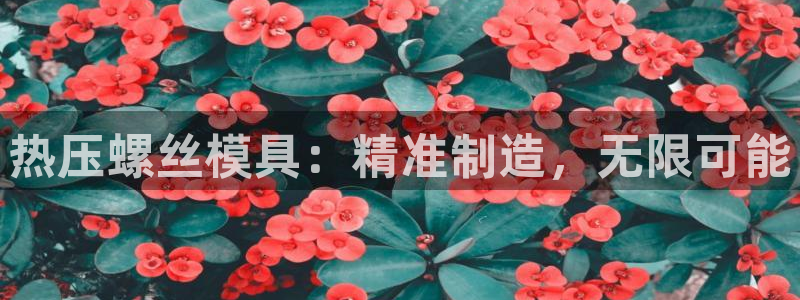 emc易倍登录：热压螺丝模具：精准制造，无限可能