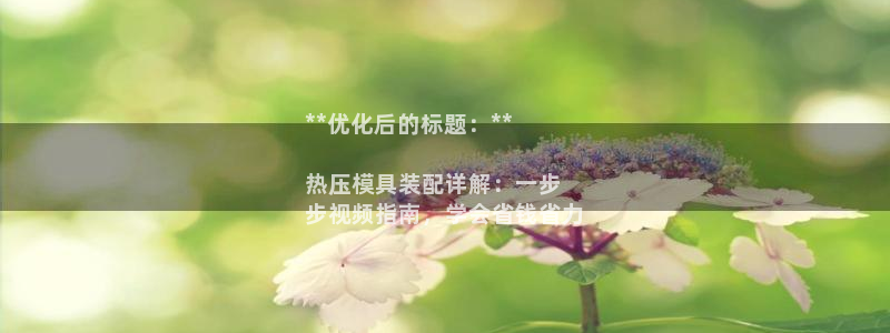 emc备份软件：**优化后的标题：**

热压模具装配详