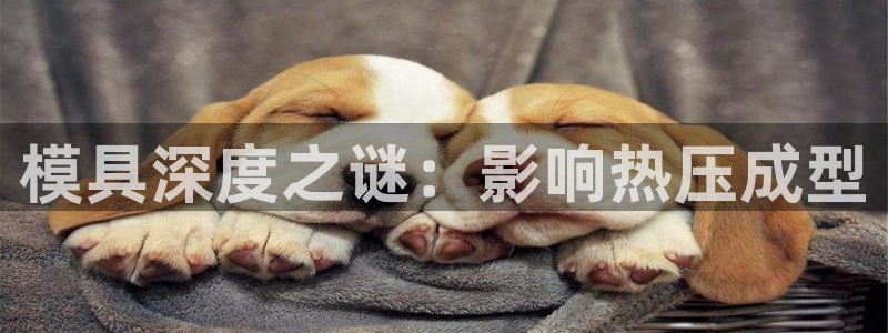 emc全站易倍：模具深度之谜：影响热压成型