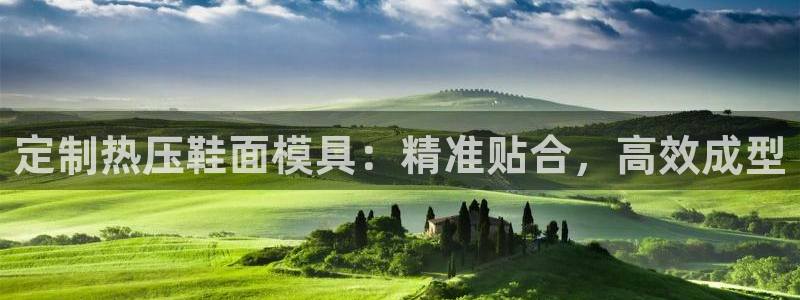 emc参数：定制热压鞋面模具：精准贴合，高效成型