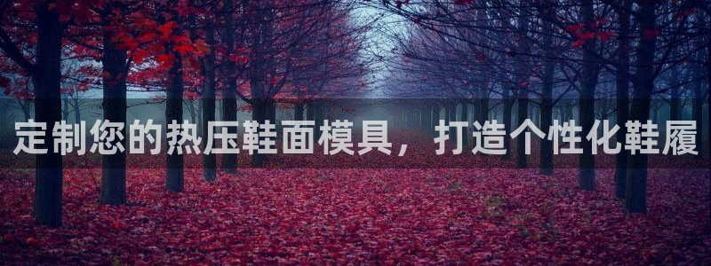 武汉易倍捷科技有限公司：定制您的热压鞋面模具，打造个性化