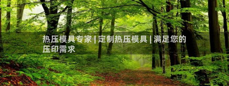 易倍单词平台：热压模具专家 | 定制热压模具 | 满足您