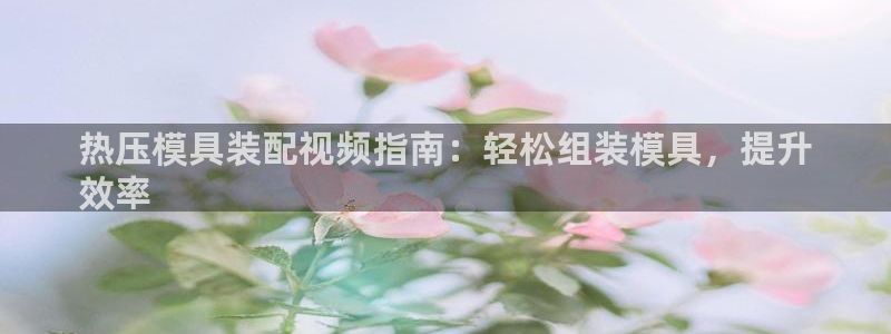 emc易倍登录：热压模具装配视频指南：轻松组装模具，提升