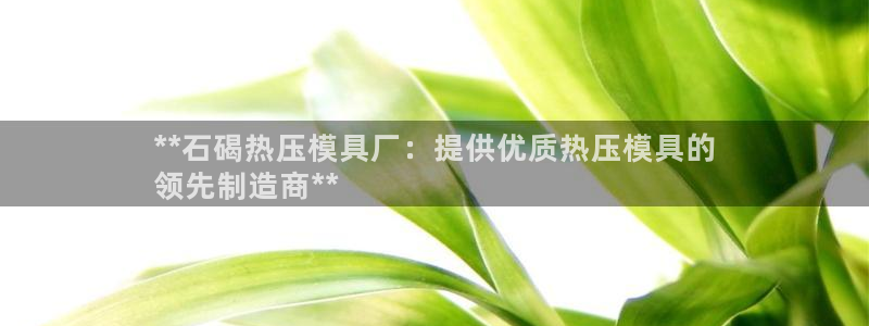 北京易倍思教育科技有限公司：**石碣热压模具厂：提供优质