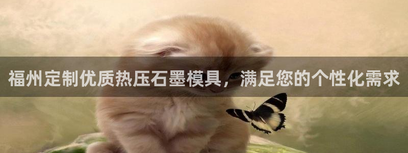 易倍企业管理软件：福州定制优质热压石墨模具，满足您的个性