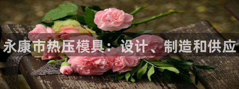 emc易倍全站官网：永康市热压模具：设计、制造和供应