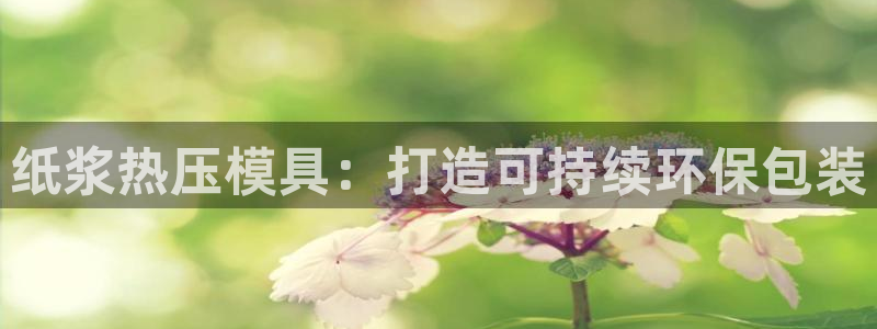 emc32软件：纸浆热压模具：打造可持续环保包装