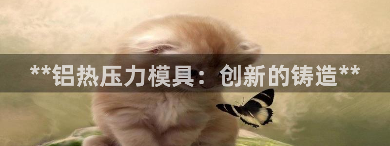 易倍申不良反应：**铝热压力模具：创新的铸造**