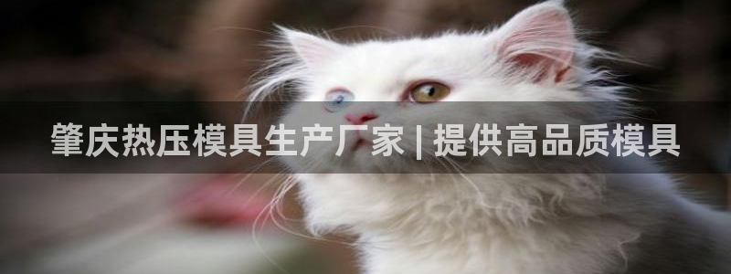 EMC易倍官方网址：肇庆热压模具生产厂家 | 提供高品质