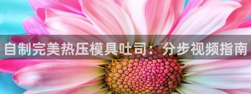 emc易倍官网app：自制完美热压模具吐司：分步视频指南