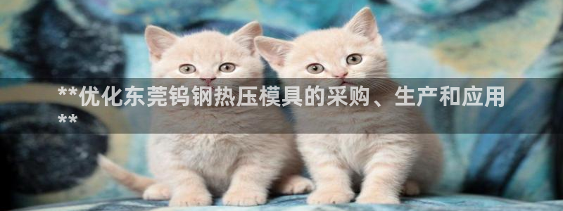 emc低频不过：**优化东莞钨钢热压模具的采购、生产和应