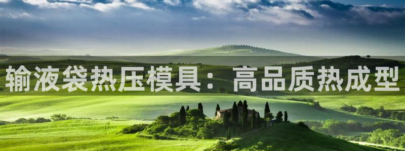 emc易倍ios官网：输液袋热压模具：高品质热成型