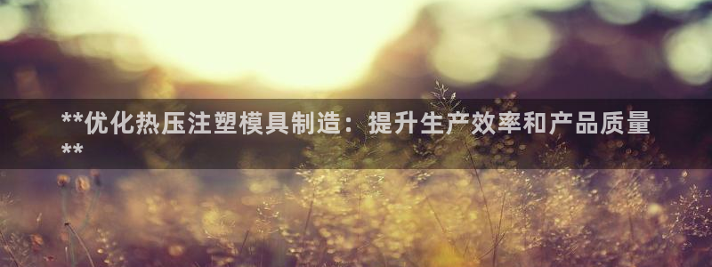 易倍申的价格：**优化热压注塑模具制造：提升生产效率和产