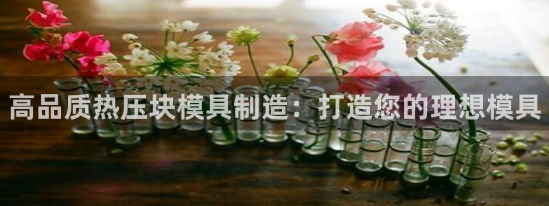 易倍申多少钱一盒：高品质热压块模具制造：打造您的理想模具