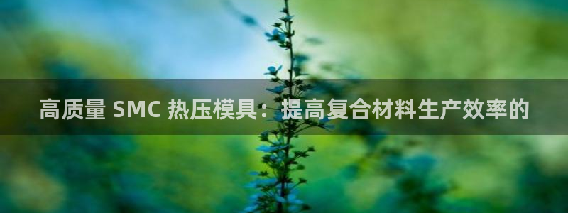 易倍申效果怎么样：高质量 SMC 热压模具：提高复合材料