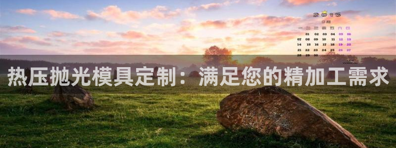 emc易倍官网app下载：热压抛光模具定制：满足您的精加
