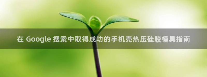 易倍emc网址：在 Google 搜索中取得成功的手机壳