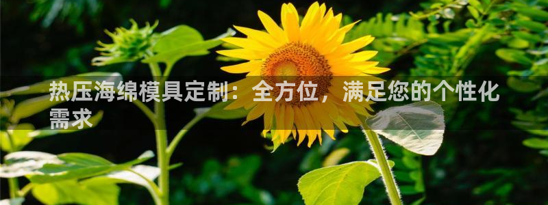 易倍申多少钱：热压海绵模具定制：全方位，满足您的个性化
