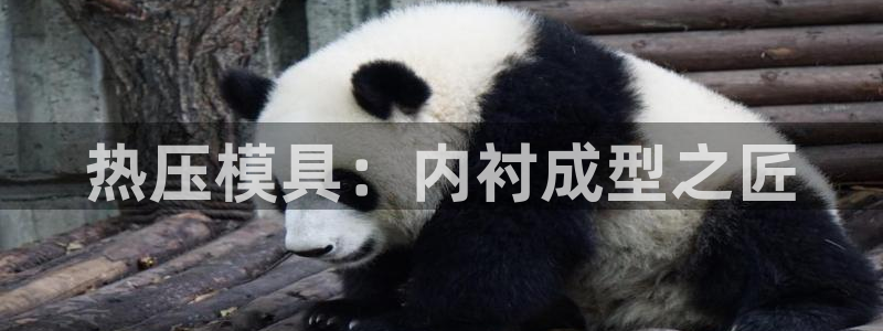 Emc易赔体育：热压模具：内衬成型之匠