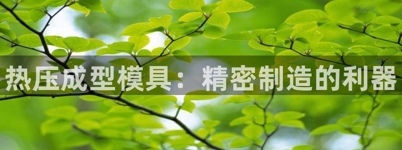 上海易倍投资有限公司：热压成型模具：精密制造的利器