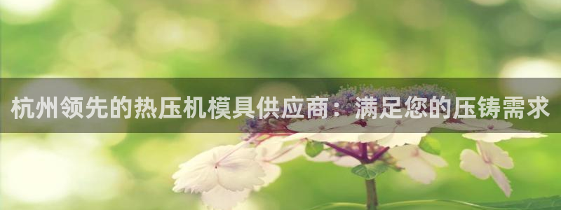 易倍申安理申区别：杭州领先的热压机模具供应商：满足您的压