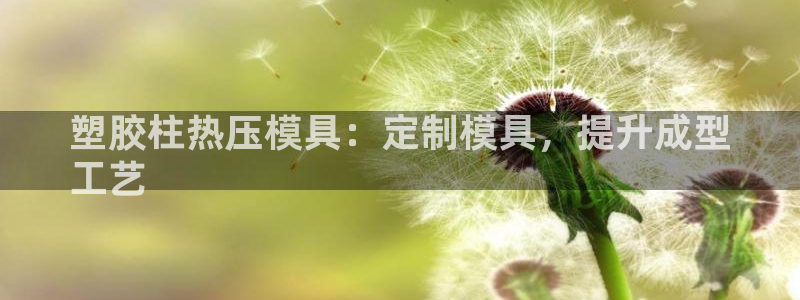 四川易倍易企业管理有限公司：塑胶柱热压模具：定制模具，提