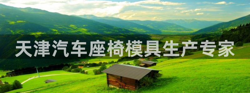 易倍单词登录平台：天津汽车座椅模具生产专家