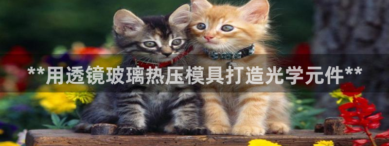 易倍单词官方网站：**用透镜玻璃热压模具打造光学元件**