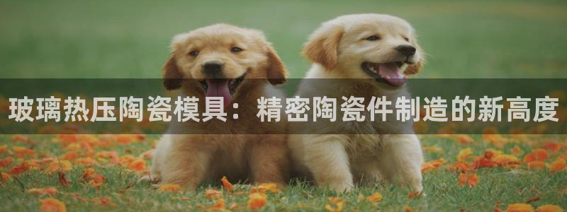 emc 倍频：玻璃热压陶瓷模具：精密陶瓷件制造的新高度