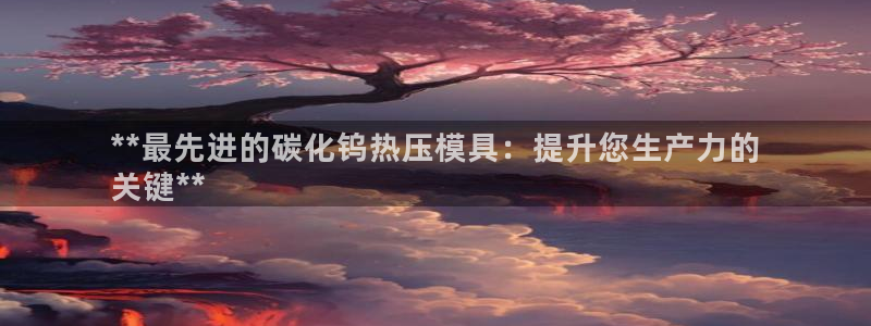 emc易倍：**最先进的碳化钨热压模具：提升您生产力的
