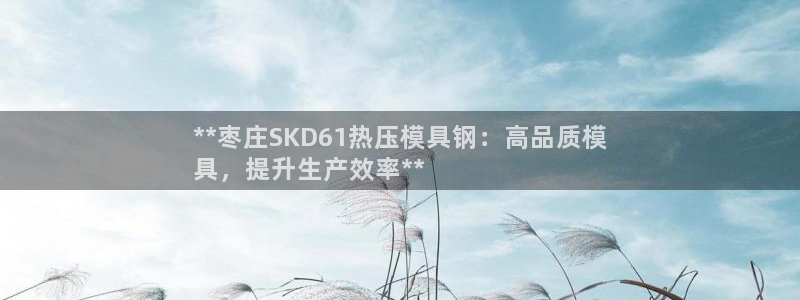 易倍网络技术有限公司：**枣庄SKD61热压模具钢：高品