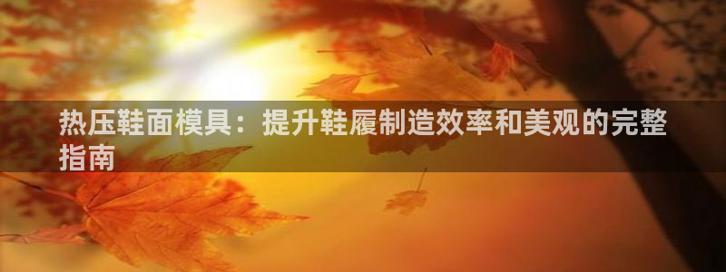 emc 倍频：热压鞋面模具：提升鞋履制造效率和美观的完整