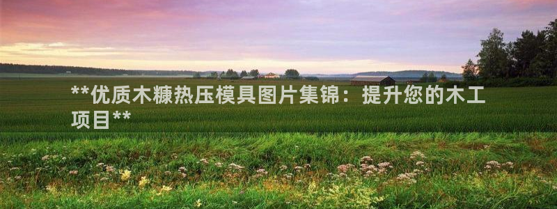 emc易倍官网：**优质木糠热压模具图片集锦：提升您的木