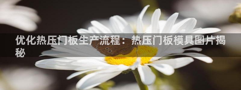 易倍纤瘦身三部曲的价格：优化热压门板生产流程：热压门板模