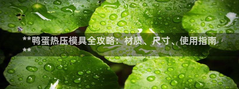 杭州易倍达上班怎么样：**鸭蛋热压模具全攻略：材质、尺寸