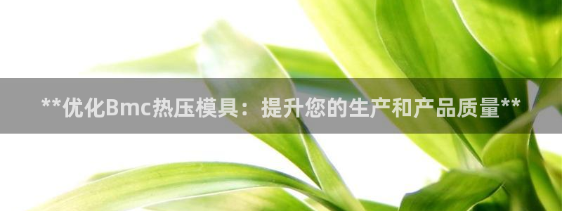 emc易倍老板：**优化Bmc热压模具：提升您的生产和产
