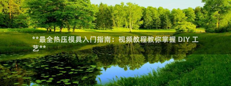 易倍纤奶昔减肥效果怎么样：**最全热压模具入门指南：视频