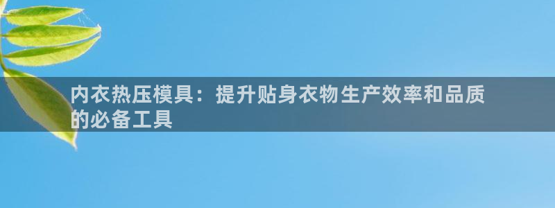 易倍纤怎么使用：内衣热压模具：提升贴身衣物生产效率和品质
