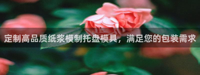 emc低频不过：定制高品质纸浆模制托盘模具，满足您的包装